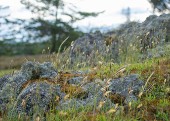 Rocks and valleys in the nature