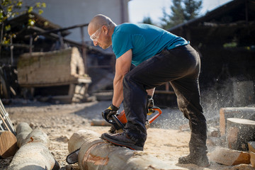 Man cut with saw. Dust and movements. Woodcutter saws tree with chainsaw on sawmill. lumberjack