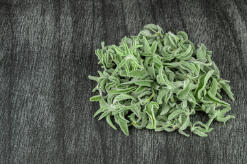 Fresh raw sage branches and leafs on grey background. Green sage herb for tea. Greek Herbal tea concept. Natural herbs.