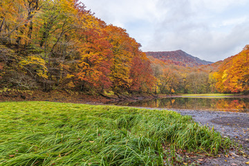 Obraz premium Towada Hachimantai National Park in autumn