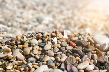 Small colored sea pebbles and shells against a blurred background on a sunny day