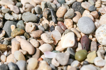 Background of small multicolored sea pebbles and seashells