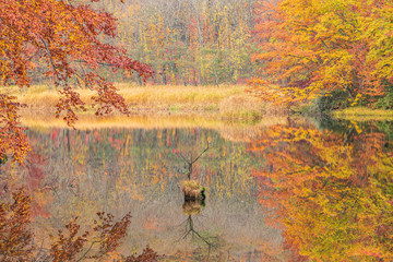 Towada Hachimantai National Park in autumn
