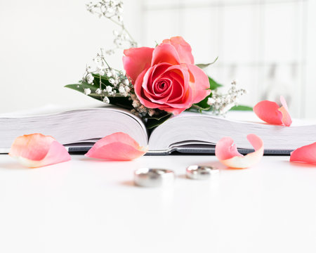 Pink rose, pedals, wedding rings and a Bible on white background 