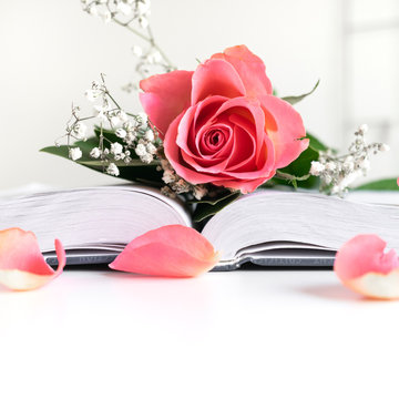 lifestyle flat lay with different accessories; flower bouquet, pink roses, pedals, open book, Bible,  journal,