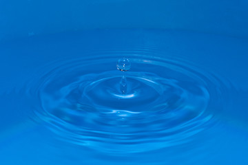 Circular water waves created by a falling drop, with a circular drop bounce on top