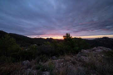 The orange blossom coast from the desert of palms at dawn, Benicassim