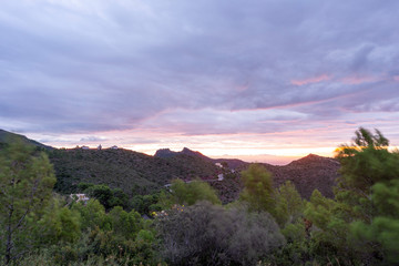 The orange blossom coast from the desert of palms at dawn, Benicassim