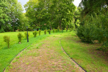 In the regular park on a summer day