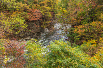 Towada Hachimantai National Park in autumn
