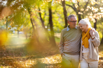 Happy senior couple in autumn park - obrazy, fototapety, plakaty
