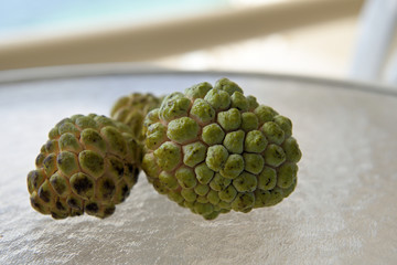 Harvested Sugar apples fruit (Annona squamosa), on the Glass table