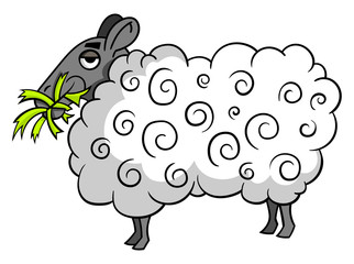 Cartoon style illustration of a woolly sheep standing eating grass - side view