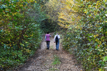 Adult man and woman are walking with a backpack, through the autumn forest. Autumn shows all the brightness of colors.