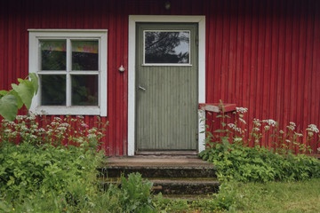 Fototapeta na wymiar Entering to the red barn at finnish countryside strawberry farm, window and door with doorstep, summer misty day, green grass