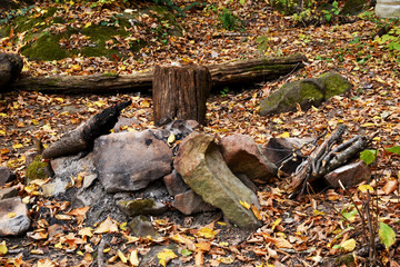 A place for tourists to stop in the forest. There was a bonfire, and now stones and coal are just a reminder of it.