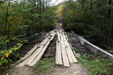 Vintage wooden bridge in the autumn forest across the river. The bridge is about to collapse, it is...