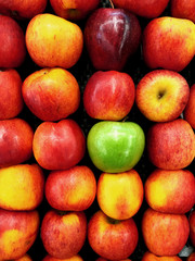 Fresh Apple red green and orange