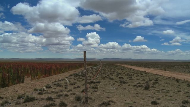 Clouds timelapse over a quinoa field along a desert road in the Andes in Bolivia