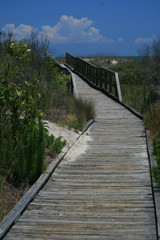 Fototapeta na wymiar old wooden boardwalk path through beach dunes