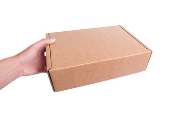 Brown craft cardboard box in woman hand, isolates