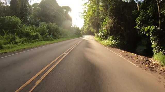 Driving Straight Down Rural Hawaiian Road in Afternoon