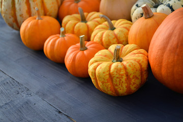 Collection of little pumpkins