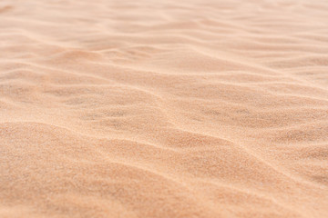 Wave of sand texture. Mui Ne,Vietnam, copy space