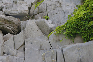 岩壁
