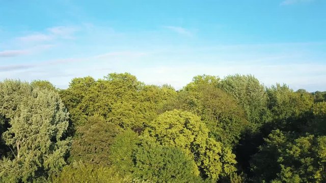 Aerial view of the city of Lille from the green citadel park