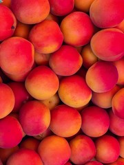 several peaches
