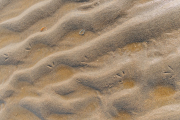 Struktur im Sand am Strand 