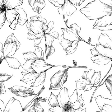 Vector Magnolia floral botanical flowers. Black and white engraved ink art. Seamless background pattern. © yanushkov