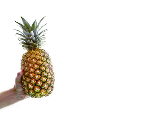 Tasty pineapple in the hand on a white background.. Hand holding a pineapple, isolated