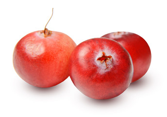 Several cranberries isolated on a white background. Bright realistic color. Work with the form. Clipping path. Macro.