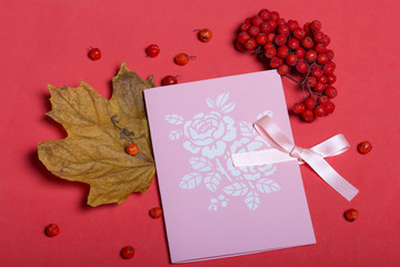 Greeting card and a bunch of mountain ash with a dry maple leaf. Autumn still life. Against the background of coral color.