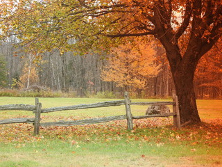An autumn payagase in the Appalachians