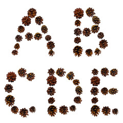 Christmas font made of fir cones