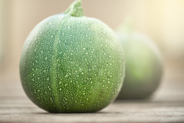 Small green zucchini illuminated by sunlight on the background of vegetable marrow in a blur.