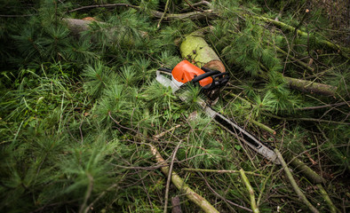 A chainsaw on cut tree branches on the ground.