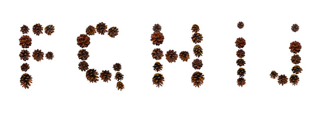 Christmas font made of fir cones
