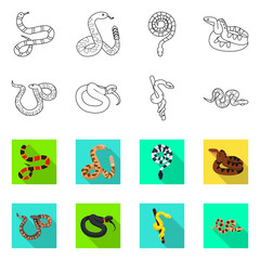 Vector illustration of snake and creepy sign. Set of snake and wildlife vector icon for stock.