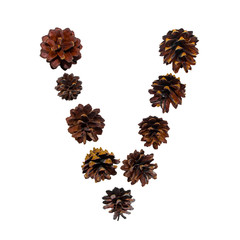 Christmas font made of fir cones