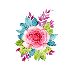 Watercolor illustration of a beautiful rose flower
