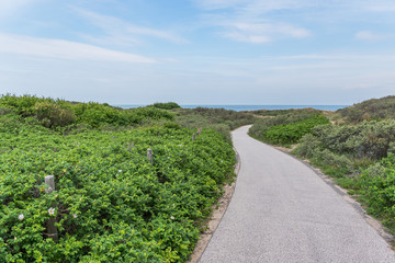  Wanderweg durch einen D&uuml;nenpark &ndash; Niederlande, Den Haag