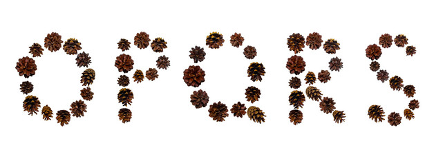 Christmas font made of fir cones