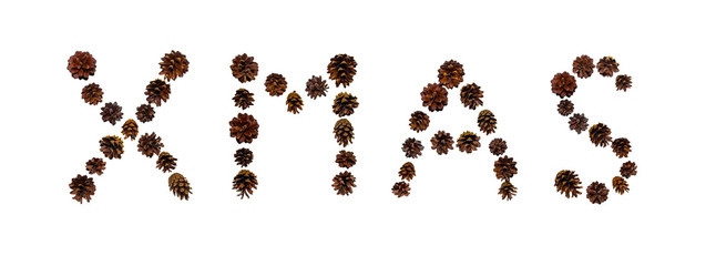 Christmas font made of fir cones
