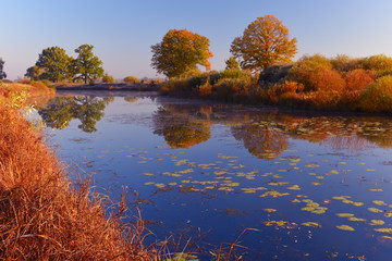 Morning on the lake among bright yellow trees. Morning haze over the water. Beautiful autumn wilderness landscape.
