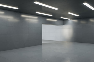 Contemporary grey interior