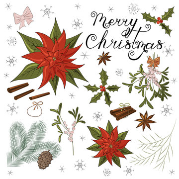 Christmas elements: poinsettia, mistletoe, holly, Christmas tree branches, fir cone, cinnamon sticks, anise, bows, ribbons.